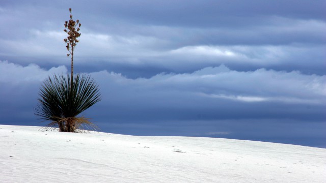 White Sands National Monument New Mexico