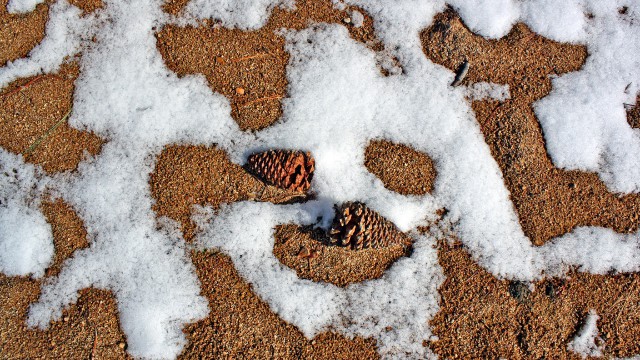 face in the snow - lake tahoe